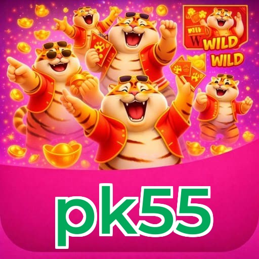 Resumo do fluxo de instalação do app pk55 — ilustração editorial